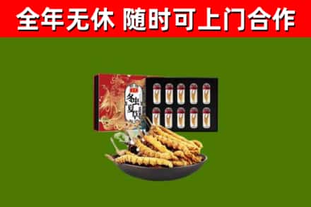 永泰县回收冬虫夏草价格